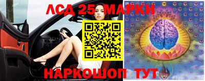 гидропоника Заволжье
