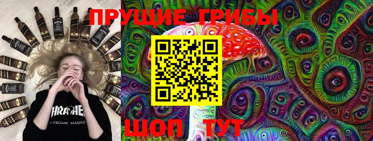 Псилоцибиновые грибы Psilocybine cubensis Лабинск