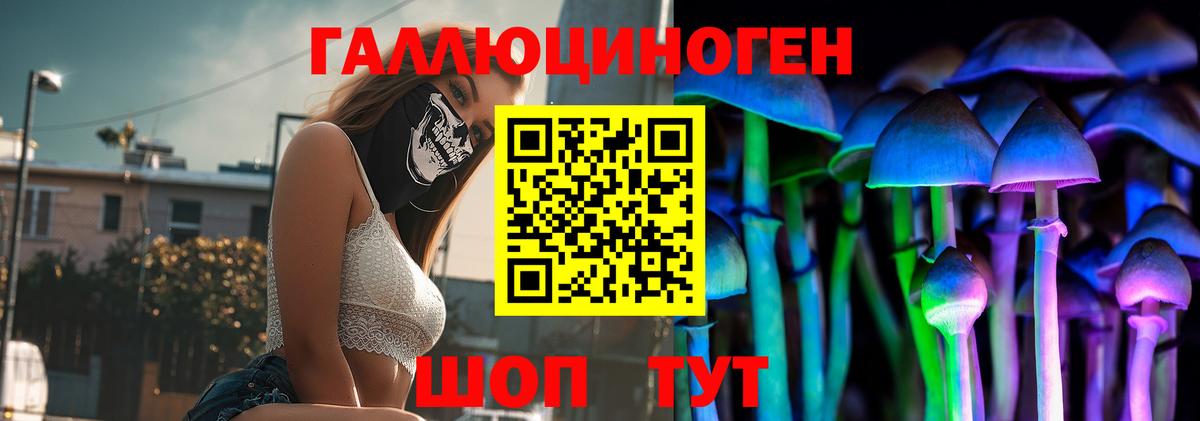 Галлюциногенные грибы Magic Shrooms  Псилоцибиновые грибы прущие грибы  Лабинск  Вход с VPN 