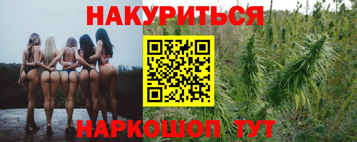 Бошки Шишки планчик  Бошки Шишки MAZAR  Лабинск  Вход с VPN 